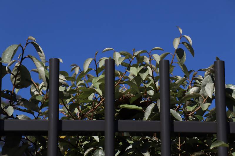 Travaux de clôture dans une résidence à Aix-en-Provence en 2025